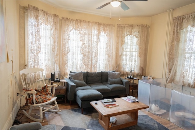 living room featuring ceiling fan and hardwood / wood-style floors