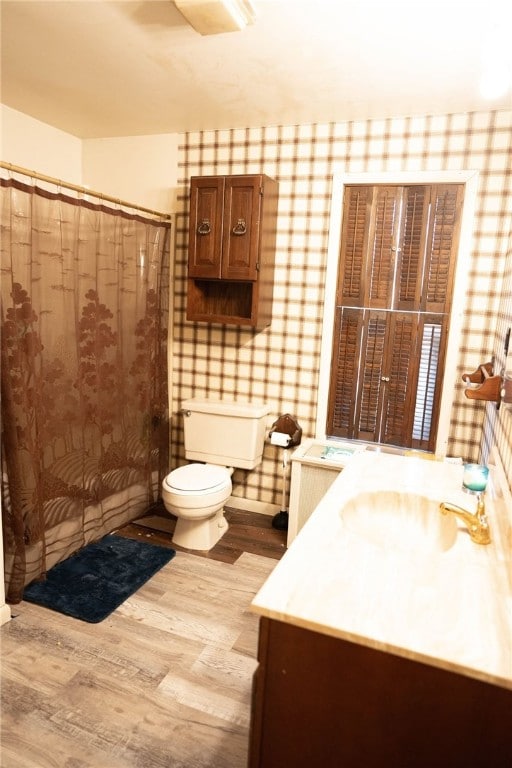 bathroom featuring vanity, hardwood / wood-style floors, and toilet