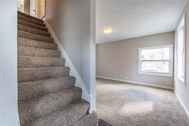 stairway with carpet floors