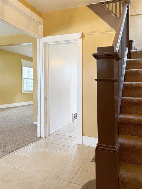 staircase featuring carpet floors