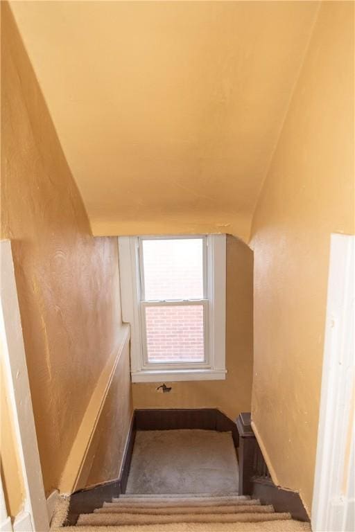 stairs featuring carpet flooring