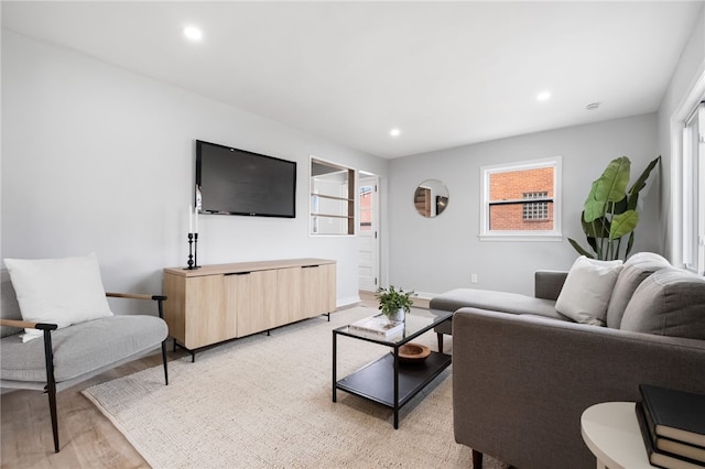 living room with light hardwood / wood-style flooring