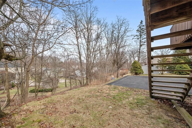 view of yard featuring a patio area