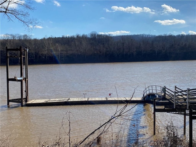 view of dock with a water view