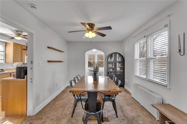 dining room with light carpet, radiator heating unit, ceiling fan, and plenty of natural light