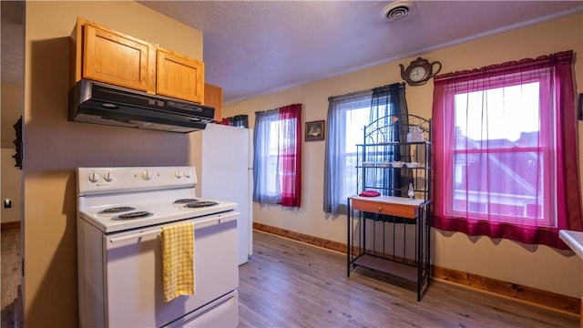 kitchen featuring white range with electric stovetop, plenty of natural light, under cabinet range hood, and wood finished floors