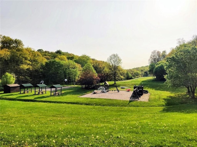 view of community featuring a lawn