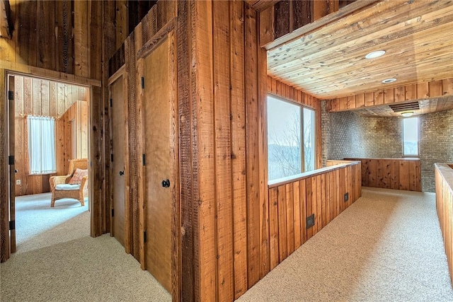 hallway featuring carpet, wooden ceiling, and wooden walls