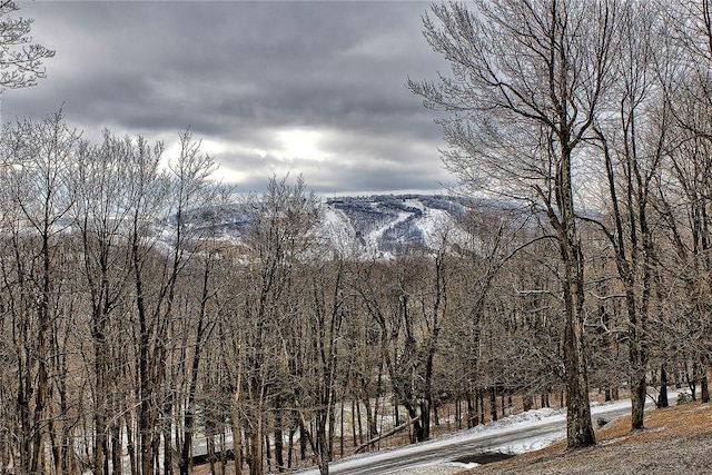 property view of mountains