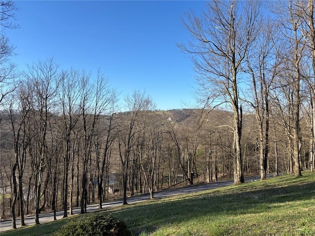 173 Alpine Heights Rd, Saltlick Twp, PA 15622 - view of property's community with a lawn