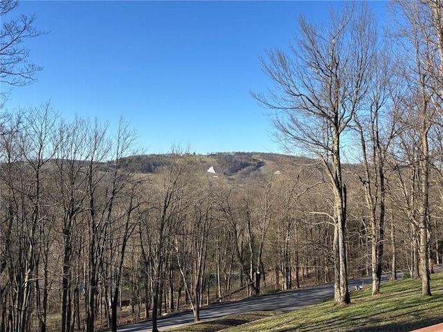 173 Alpine Heights Rd, Saltlick Twp, PA 15622 - view of mountain feature with a wooded view