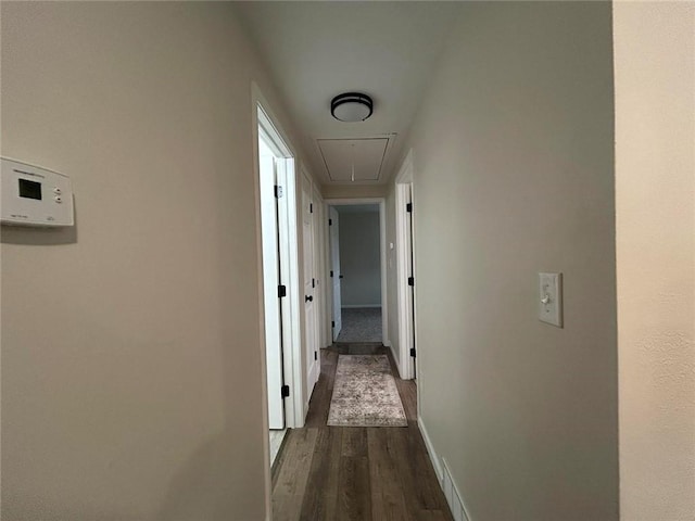 corridor featuring dark hardwood / wood-style flooring