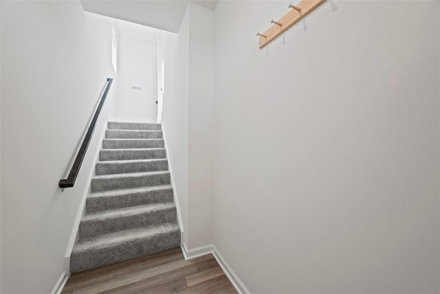 stairway with hardwood / wood-style floors