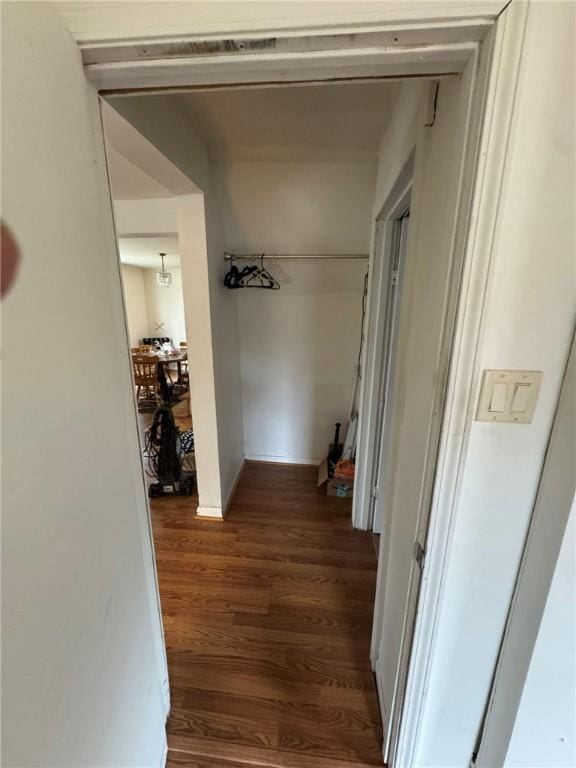 hallway featuring dark wood-type flooring