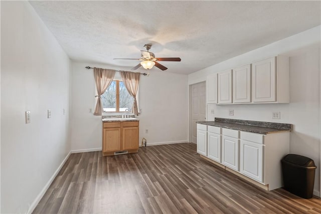 kitchen with sink, a textured ceiling, dark hardwood / wood-style floors, and ceiling fan