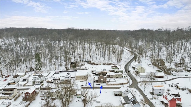 view of snowy aerial view