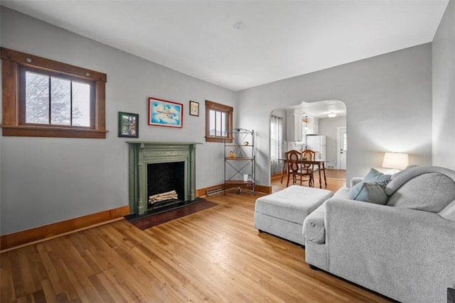 living room featuring light wood-type flooring