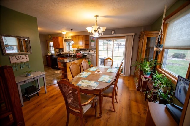 dining room featuring a wealth of natural light, hardwood / wood-style floors, and a notable chandelier