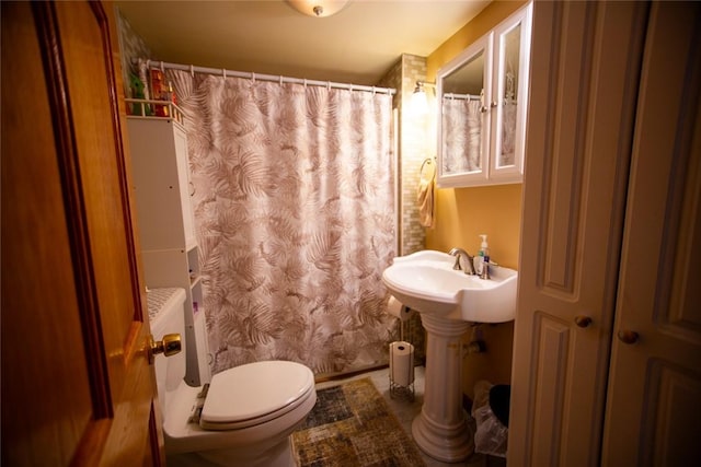 bathroom with toilet and a shower with shower curtain