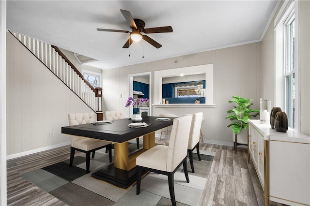 dining space with ceiling fan and wood-type flooring