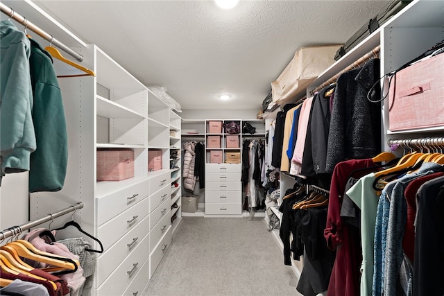 walk in closet with light colored carpet