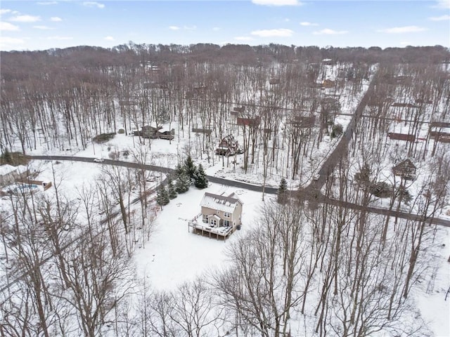 view of snowy aerial view