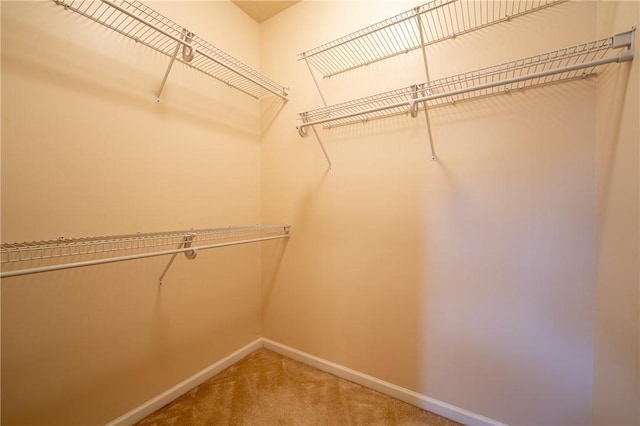 spacious closet with carpet floors