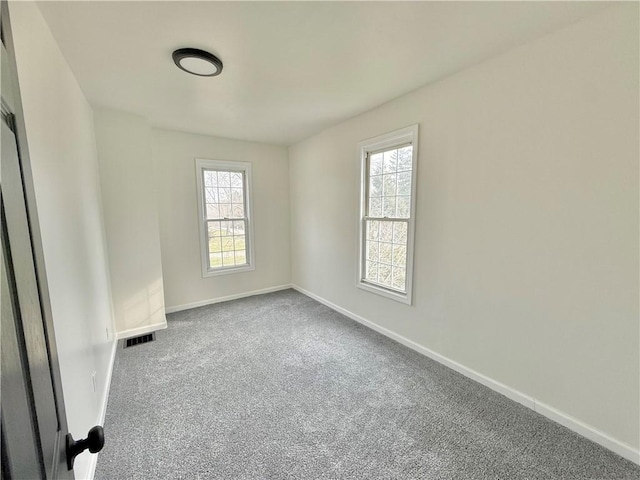 carpeted empty room featuring a healthy amount of sunlight