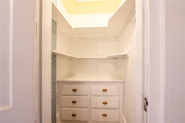 view of walk in closet