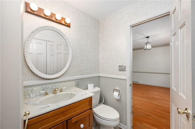 bathroom with wood-type flooring, vanity, and toilet