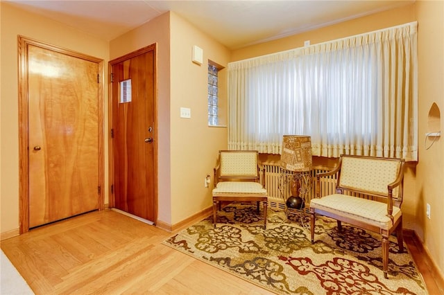 living area with wood-type flooring