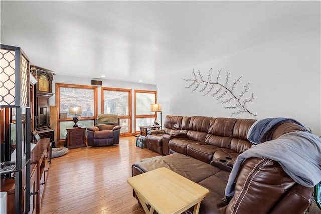 living room featuring hardwood / wood-style floors