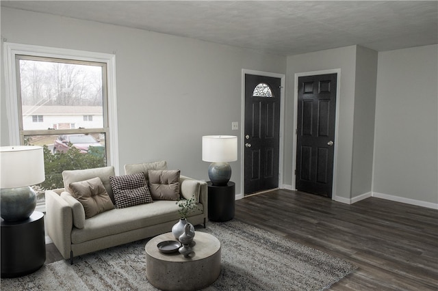 living room with dark hardwood / wood-style flooring