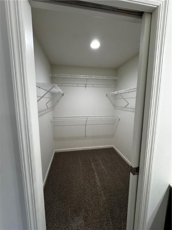 spacious closet featuring carpet