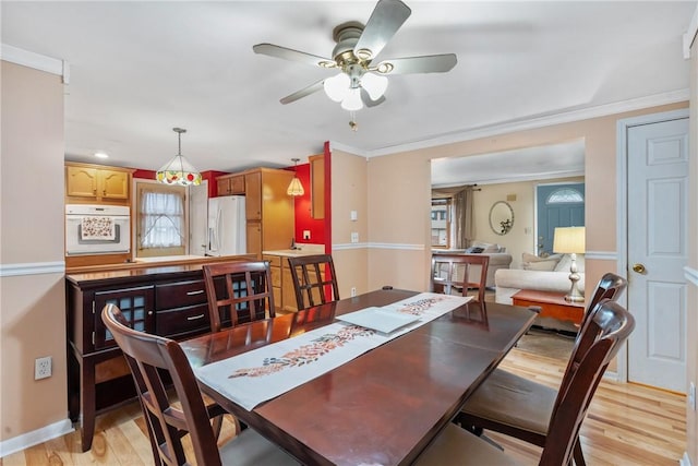 dining area with ceiling fan, ornamental molding, and light hardwood / wood-style flooring