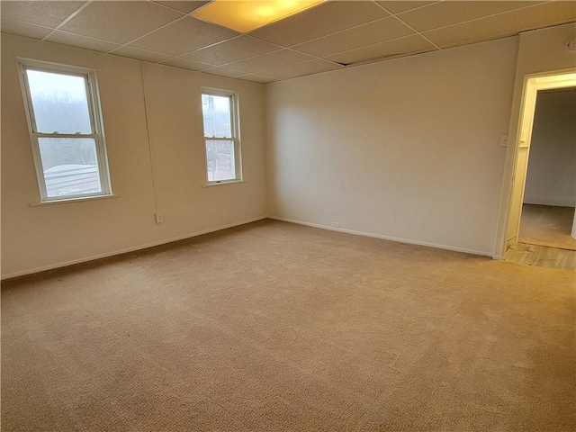 empty room featuring a drop ceiling and light colored carpet