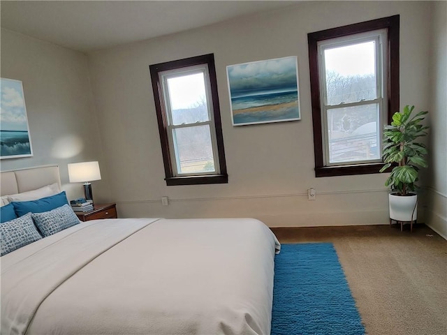 bedroom featuring carpet