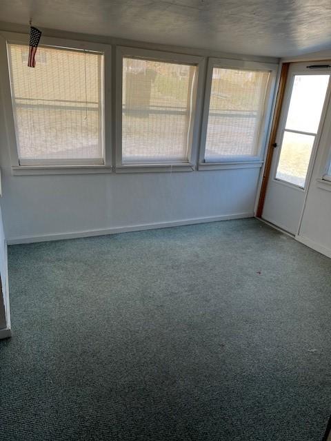 unfurnished room with carpet flooring