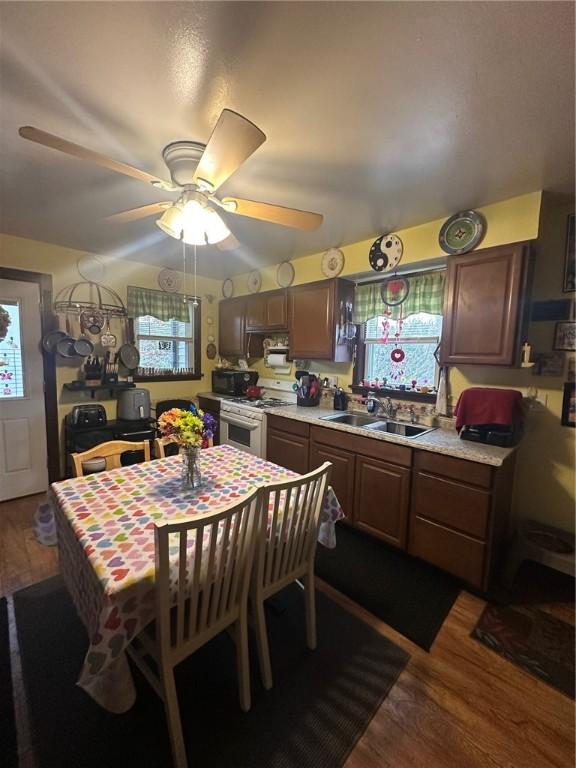 kitchen featuring ceiling fan, sink, white range with gas stovetop, and dark hardwood / wood-style flooring