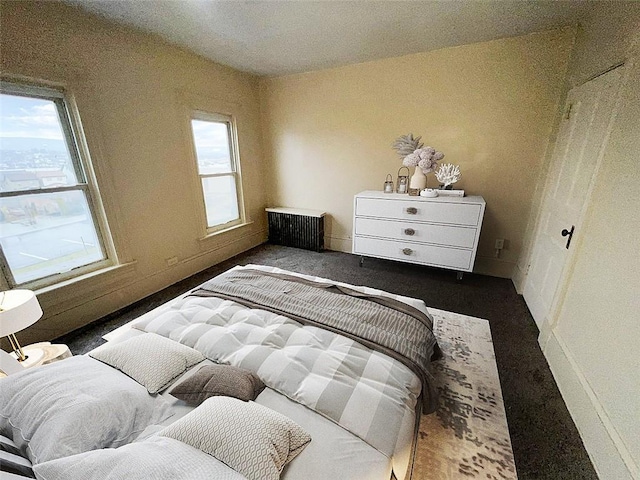 bedroom with multiple windows and radiator heating unit