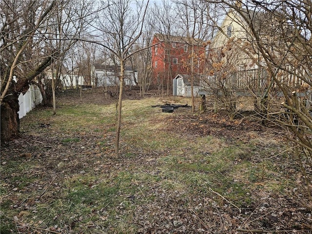 view of yard with a shed