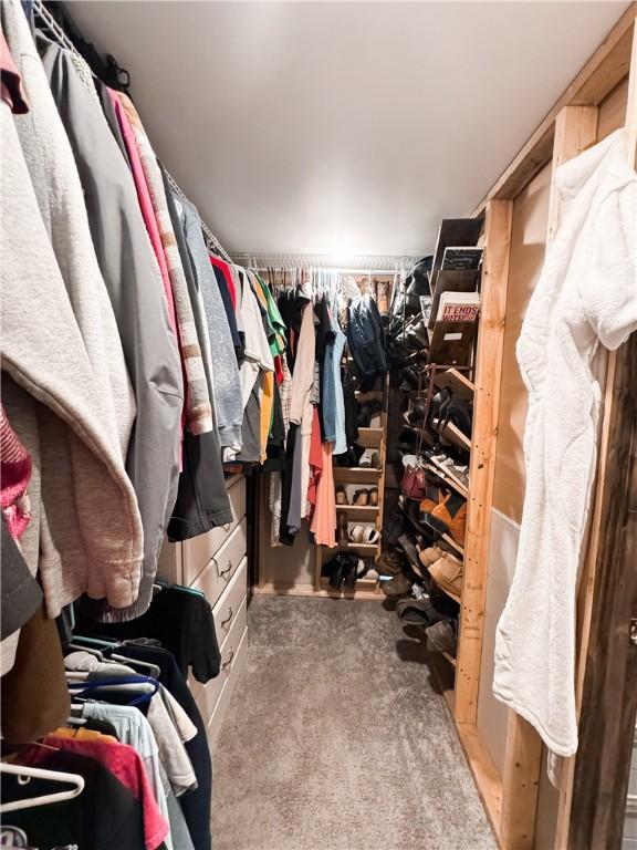 spacious closet with carpet flooring