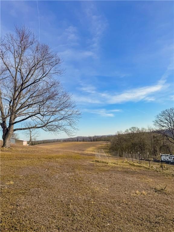 view of yard with a rural view