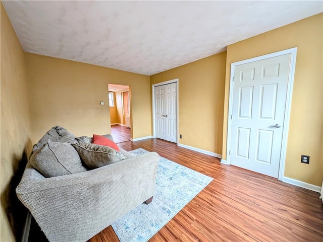 living room with wood-type flooring