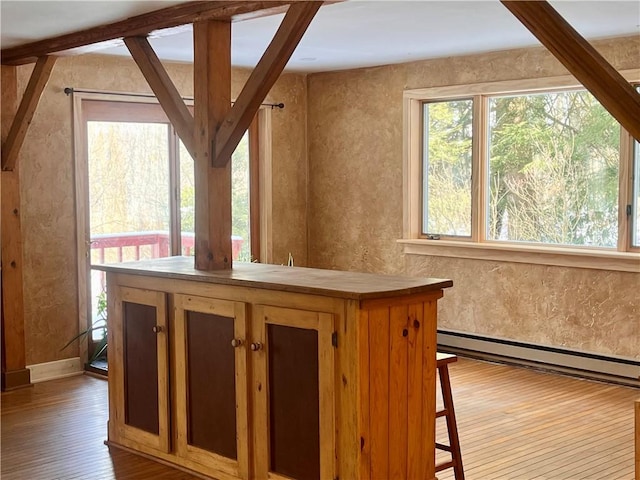 interior space featuring hardwood / wood-style floors and baseboard heating