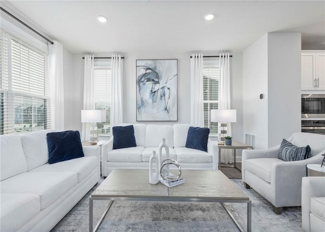 living room with a wealth of natural light