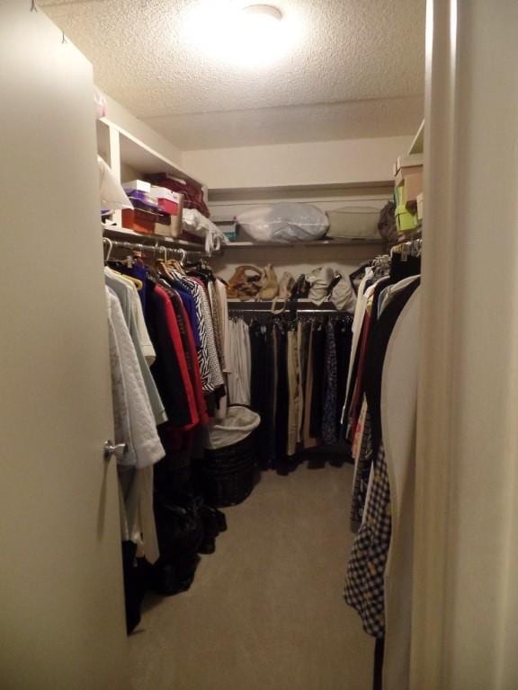 walk in closet featuring carpet