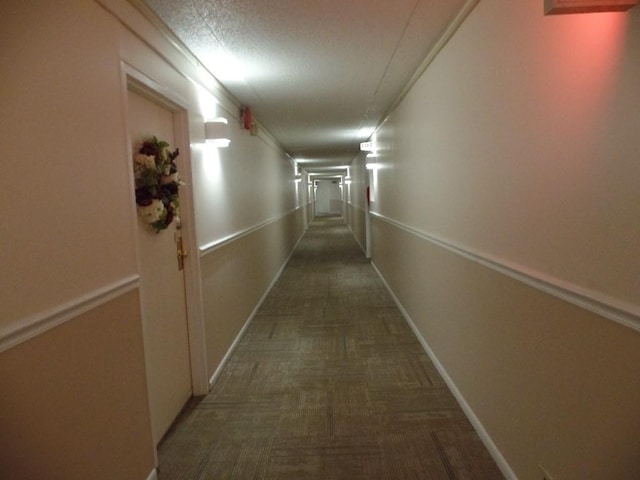 hall featuring carpet floors