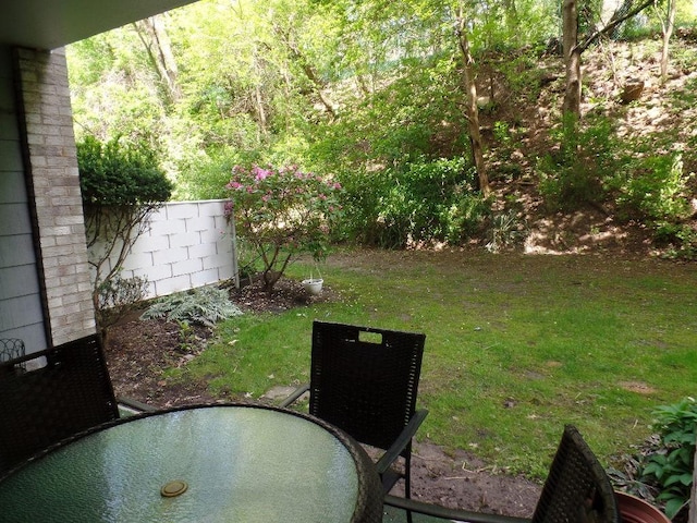 view of yard with outdoor dining area
