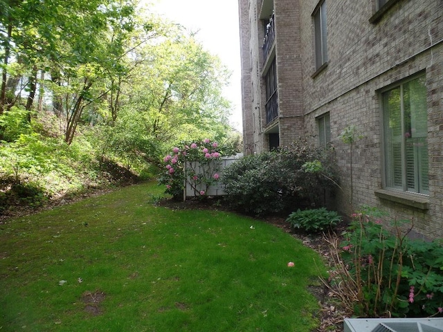view of green lawn